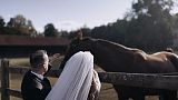 Europe Award 2024 - Καλύτερος Μοντέρ - Scenic landscape dream wedding with horse