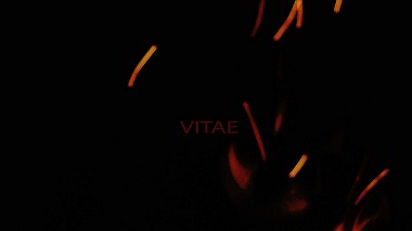 Award 2016 - Найкращий Відеооператор - vitae