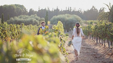 Award 2016 - En iyi SDE üreticisi - Wedding between vineyards in the Orangerie clos Barenys