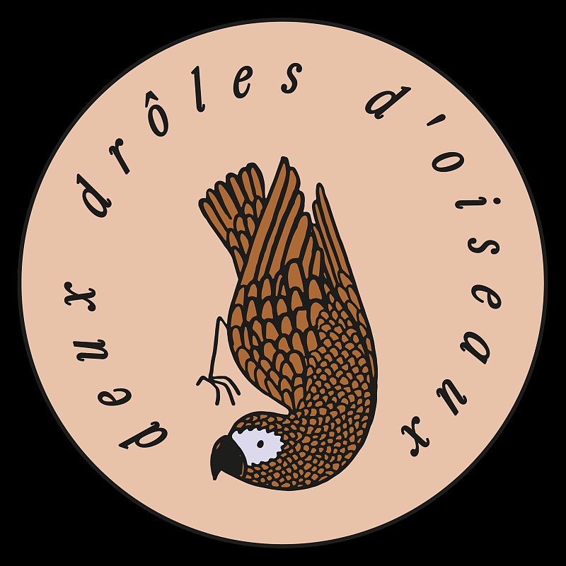 Deux drôles D’oiseaux