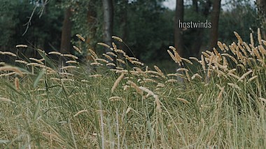 Award 2017 - Καλύτερος SDE-δημιουργός - hostwinds