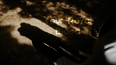 Award 2017 - 年度最佳旅拍 - Your Royal Blood