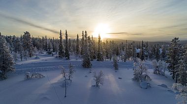 Award 2020 - Best Highlights - Emilie & Josh 2020 Lapland Wedding