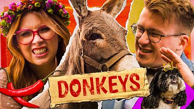 Award 2023 - People Choice -  DONKEYS - One true crazy fairy tale! (ENG SUBS)