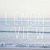 Videographer Lemonview - Photography and Video