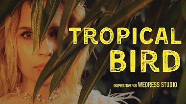 Videografo Michael Topolev da Čita, Russia - TROPICAL BIRD | Wedress studio, advertising, wedding