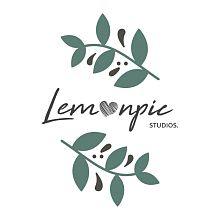 Videographer Lemonpic  Studios