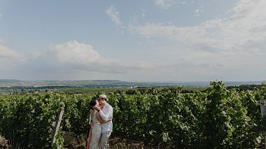 Videograf Krisztian Bozso din Seghedin, Ungaria - Danielle and Chris, nunta