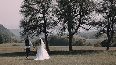 Videografo Soso Poladishvili da Tbilisi, Georgia - B/F: Wedding film., drone-video, wedding