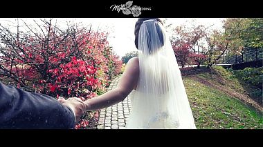 Βιντεογράφος Myla Wedding από Brussels, Βέλγιο - Showreel Wedding | Myla Video Wedding, wedding