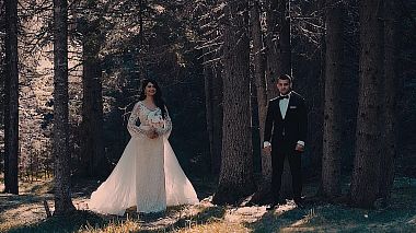 来自 特尔古日乌, 罗马尼亚 的摄像师 Robert Lucaci - ADINA + ALIN “Love story”, drone-video, wedding