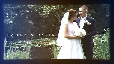 Відеограф St.Art Wedding, Будапешт, Угорщина - PANNA & DAVID | VINEYARD, drone-video, wedding