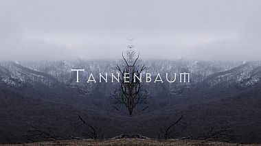 Videographer Max Panin from Moscow, Russia - Tannenbaum, engagement
