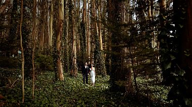 Відеограф Aperina Studios, Сан-Франціско, США - Wedding Trailer - San Francisco City Hall Wedding, drone-video, wedding