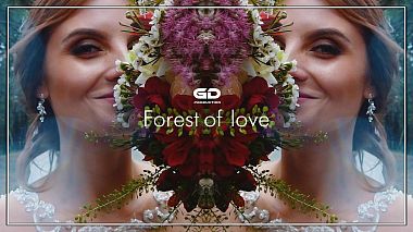 Βιντεογράφος Дмитрий  Горин από Τουμέν, Ρωσία - Forest of love, wedding