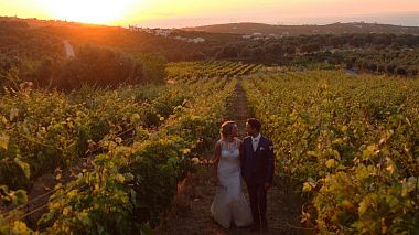 Видеограф Vasilis Tsagkarakis, Хераклион, Гърция - Renée & Alex, drone-video, event, wedding