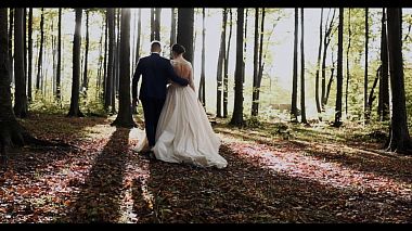 Videografo Magnificent  Video da Černivci, Ucraina - Wedding Anastasia & Stanislav, SDE, drone-video, wedding