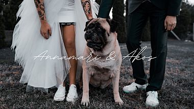 来自 佩奇, 匈牙利 的摄像师 Dániel Lukács - Annamari & Ákos I Wedding highlights, wedding
