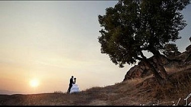来自 林茨, 北马其顿 的摄像师 WEDART STUDIO - The Tree of Love, wedding