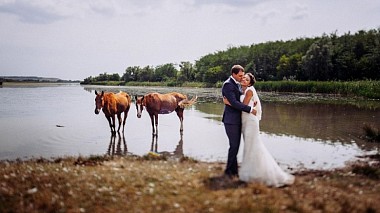 来自 斯塔夫罗波尔, 俄罗斯 的摄像师 Виктор Лемар - Sergey and Svetlana, wedding