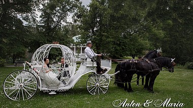 来自 美因河畔法兰克福, 德国 的摄像师 Andrei Slezovskiy - A&M Wedding in Bad Wildungen, event, musical video, wedding