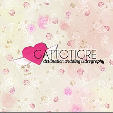 Videographer Gattotigre Destination Wedding Videography