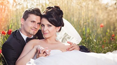 Videographer Roman Gabaš from Bratislava, Slovaquie - Svadobný úvodný klip, wedding