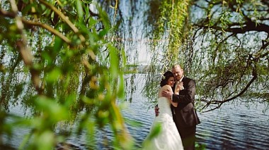 Videographer Björn Stüllein from Hannover, Germany - Wedding in Hamburg: Dani & Olli, wedding