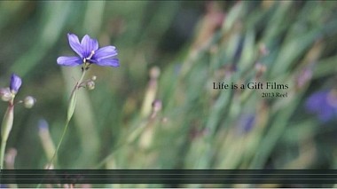 Videographer Adrian Mahovics from Vienna, Austria - Life is a Gift Films Reel 2013, showreel