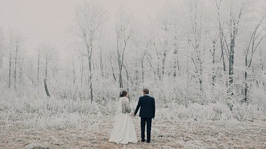 来自 切博克萨雷, 俄罗斯 的摄像师 Vladimir Vasilev - Vladimir and Tatiana, wedding
