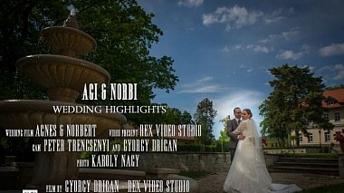 Videografo Gyorgy Drigan da Debrecen, Ungheria - Agnes & Norber weddding highlight, wedding