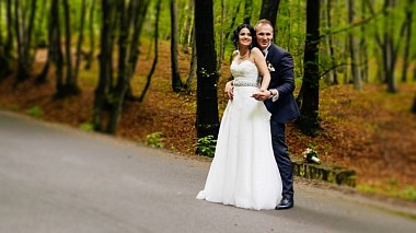 Videógrafo Still Light de Cluj-Napoca, Rumanía - Sorina & Cristian wedding film, wedding