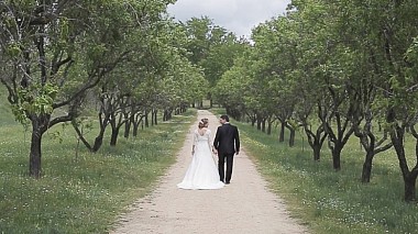 Videograf Plasmalia Studio din Madrid, Spania - Vídeos de bodas / Yo tenía un plan, logodna, nunta