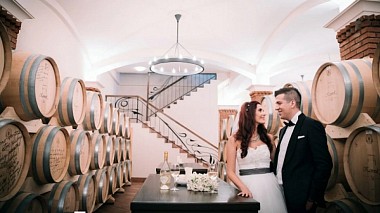 Videographer Vesta Production from Bitola, Macédoine du Nord - Veronika & Dejan, engagement, event, wedding
