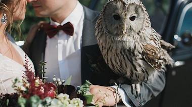 来自 下诺夫哥罗德, 俄罗斯 的摄像师 Вячеслав Кирилов - Alex&Elena, wedding