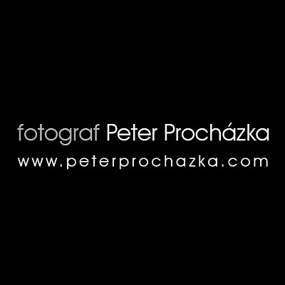 Videographer Peter Prochazka