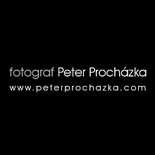 Videographer Peter Prochazka