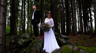 Videógrafo Daniel Sládek de Praga, República Checa - Petra & Jakub, wedding