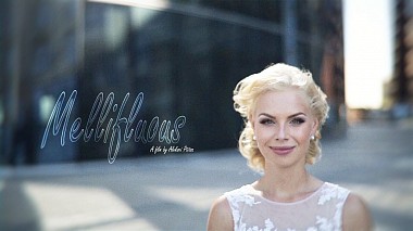 Відеограф ALEKSEI PTITSA, Москва, Росія - MELLIFLUOUS, wedding