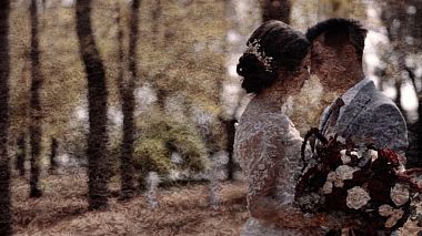 Видеограф Darius Cornean, Орадея, Румъния - Timi & Rafaela {Wedding Day}, SDE, anniversary, drone-video, engagement, wedding
