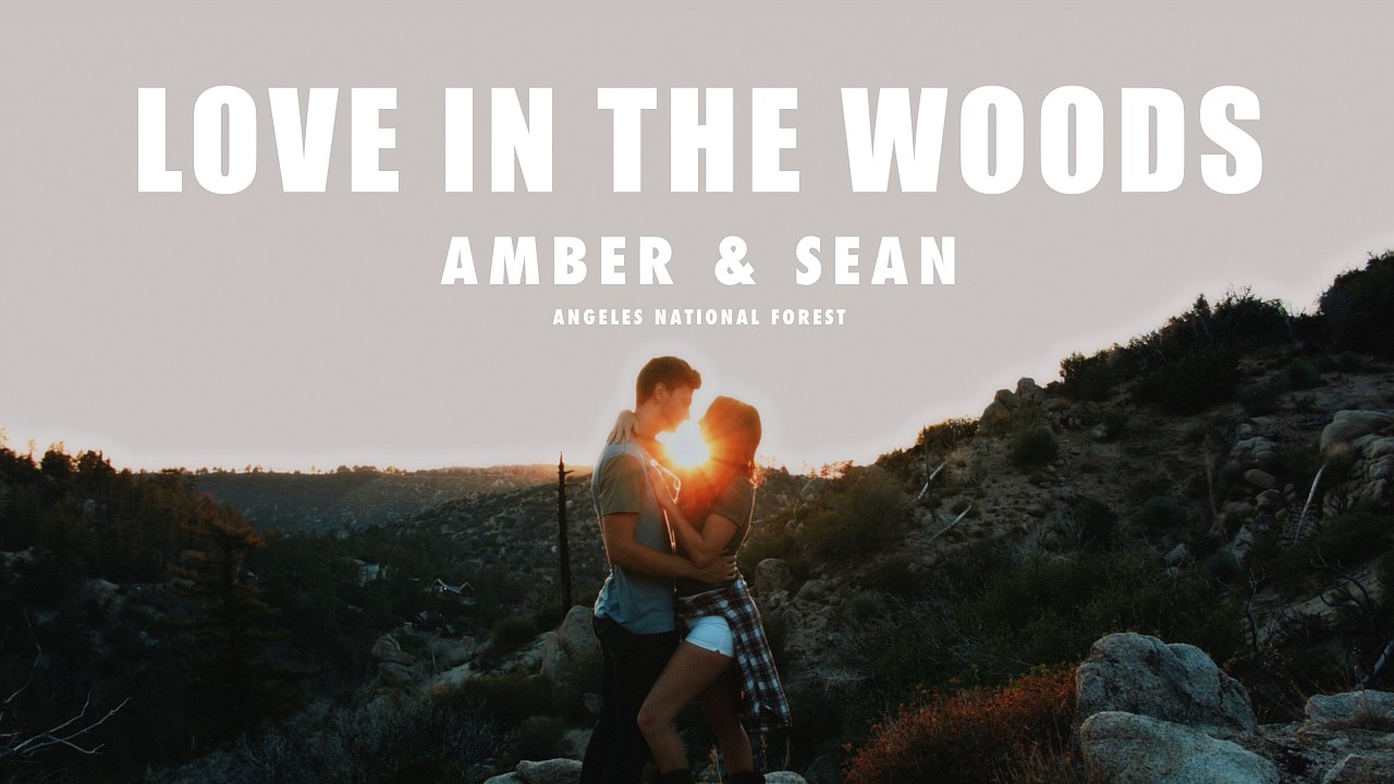 LOVE IN THE WOOD