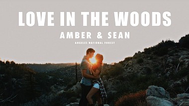 Відеограф Oleg Zayanov, Лос-Анджелес, США - LOVE IN THE WOOD, engagement