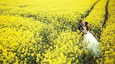 Відеограф Alexander Znaharchuk, Прага, Чехія - Elopement wedding video in France at the Chateau Сhallain: Samuel & Natasha, wedding