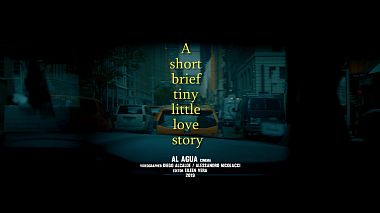 Βιντεογράφος Al Agua Weddings από Μαϊάμι, Ηνωμένες Πολιτείες - A short brief tiny little love story (New York), wedding