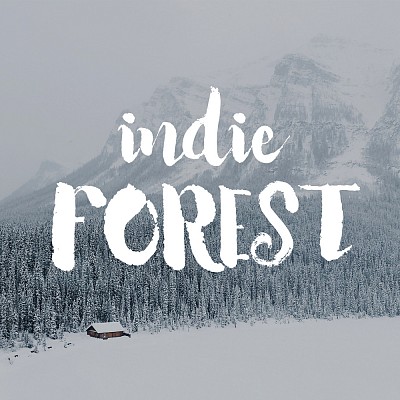 Videographer Indie Forest