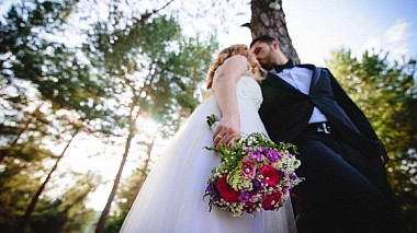 Videographer Perfect Wedding from Štip, Severní Makedonie - Maja & Petar (Writing’s On The Wall), engagement, wedding
