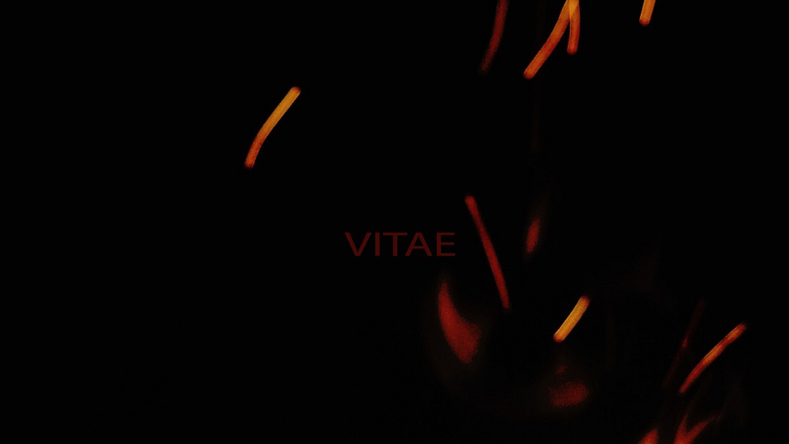 vitae (showreel2016)