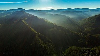 Videograf Cosmin Tomoiaga din Suceava, România - Mocăniţa pe Valea Vaserului - Vişeu de Sus, invitație