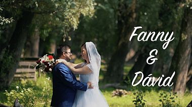 Видеограф Sandor Menyhart, Будапешт, Венгрия - F&D - Wedding Highlights, свадьба