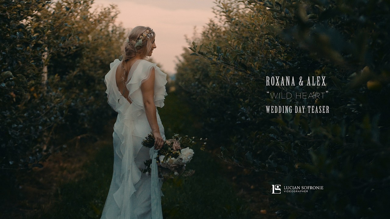 “Wild Heart” - Roxana & Alex wedding day teaser | www.luciansofronie.ro